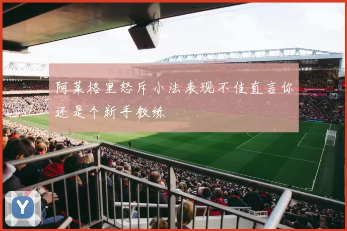 阿莱格里怒斥小法表现不佳直言你还是个新手教练